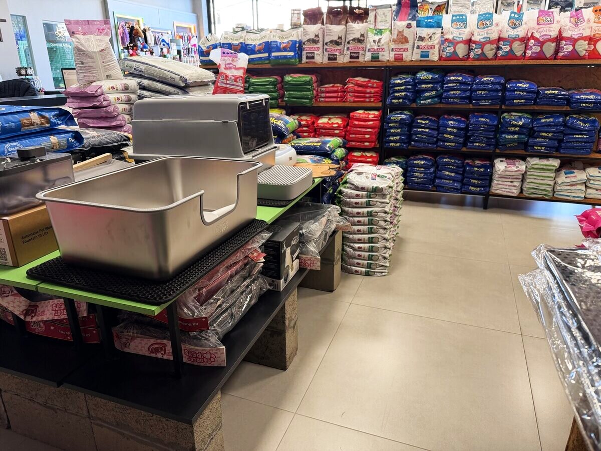 Areia e acessórios de gato